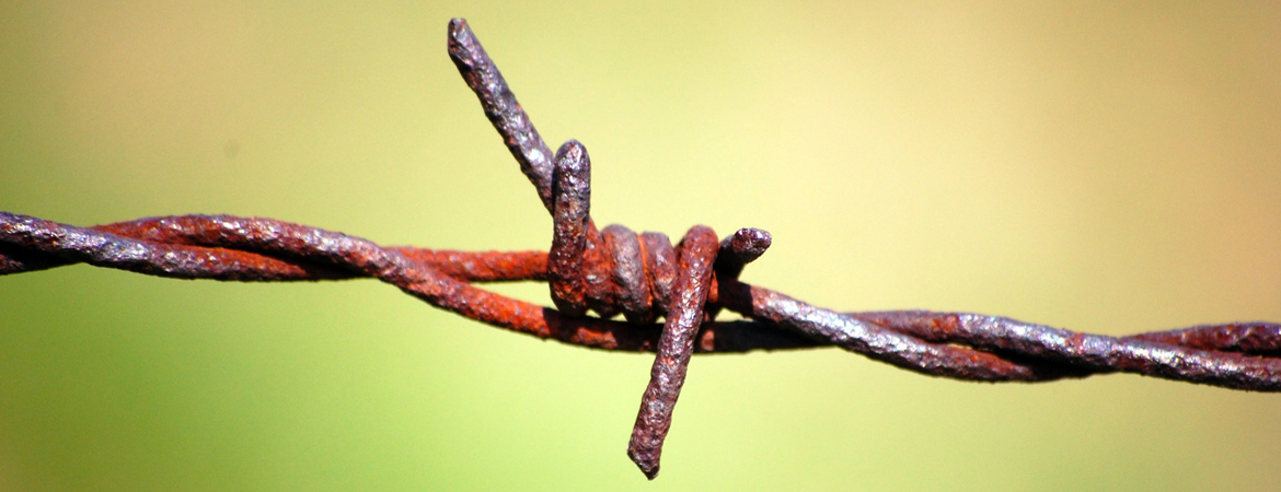 rusty barbed wire detail 2018