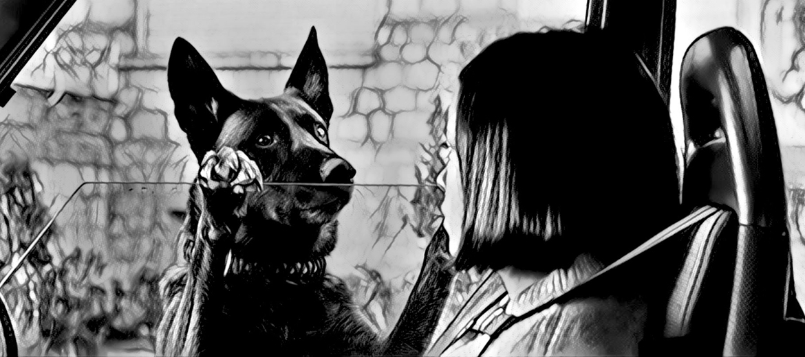 cuerdas 2020 jose luis montesinos